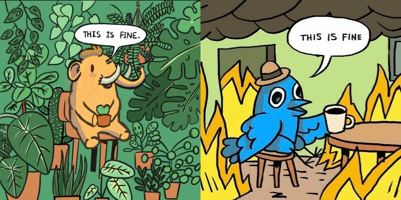 A happy Mastodon creature sits peacefully in a room filled with plants, whilst nextdoor the Twitter bird sits in denial with a coffee in a room that is very much on fire